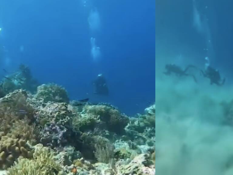 Un terremoto bajo el mar: impactante registro de un buzo capta sismo submarino de magnitud 7,2