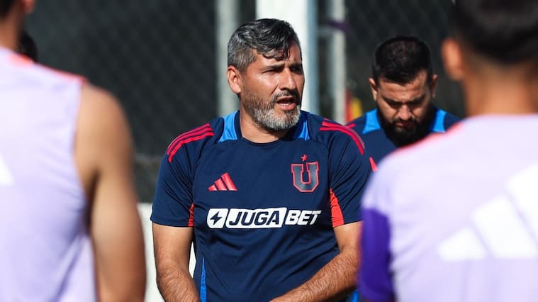 @udechile