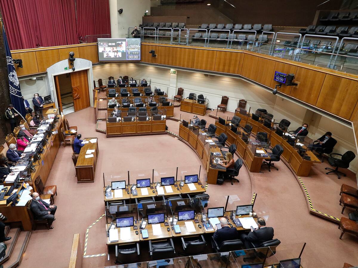 Siete regiones eligen senadores: revisa la lista de candidatos que buscan llegar a la Cámara Alta