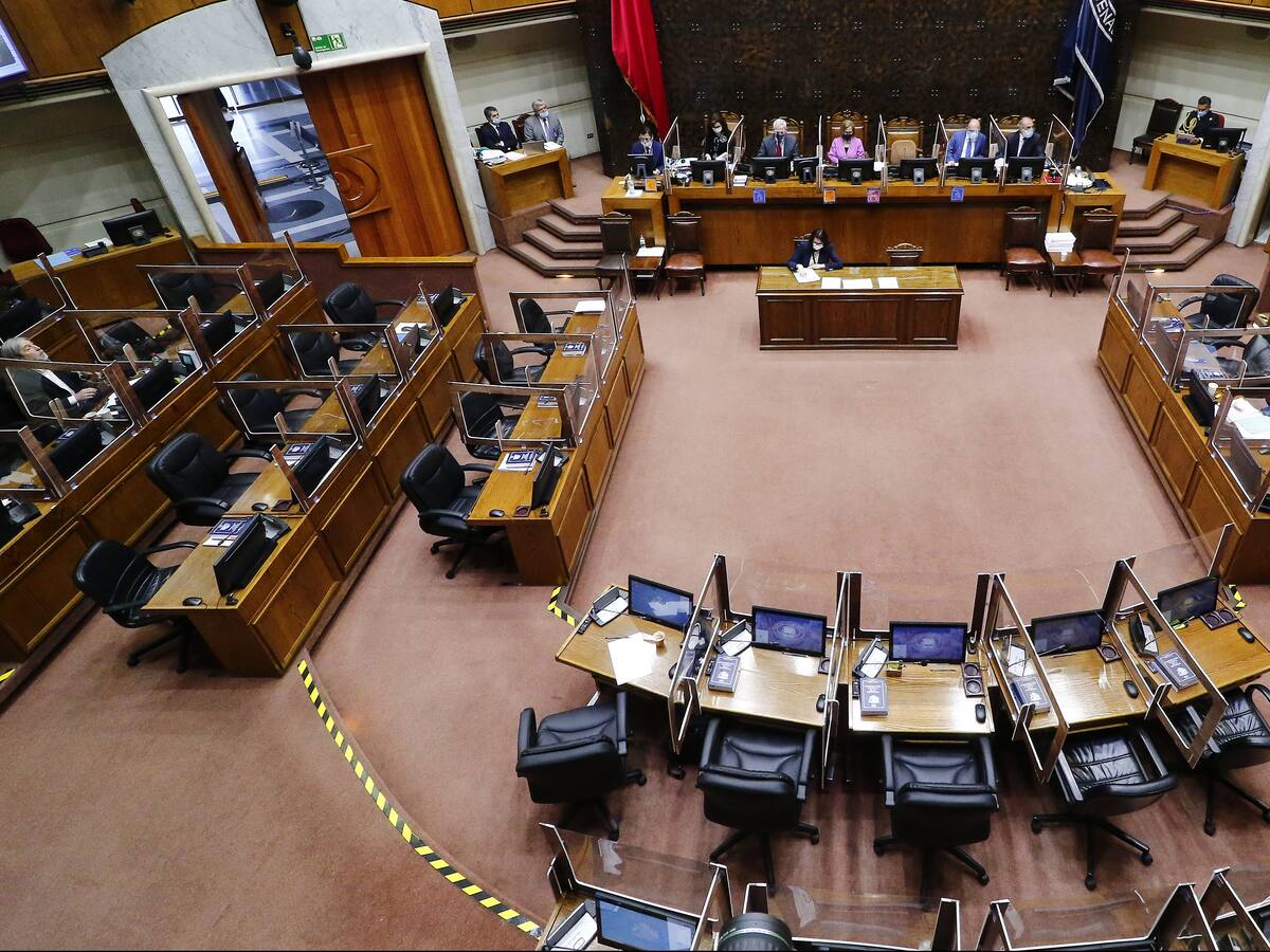 Cuestionan Presupuesto 2021: senadores de oposición condenaron actuar de Carabineros por caída de joven al río Mapocho