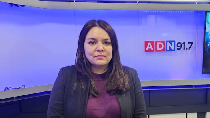 “Contraloría tuvo acceso a todo”: Exdirectora de Junaeb responde a críticas por “ocultamiento de información” en caso de “comidas fantasmas”