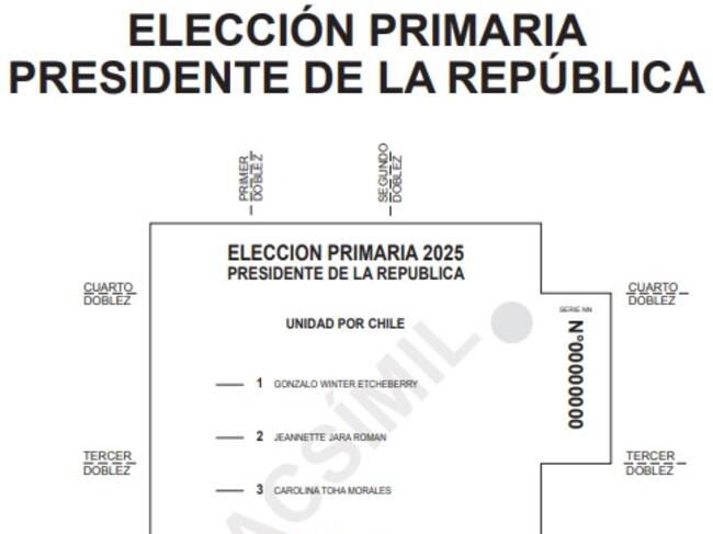 Servicio Electoral