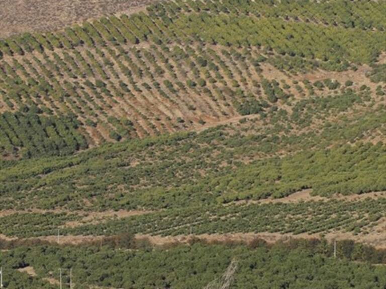 Las medidas para mitigar la sequía en Petorca y La Ligua