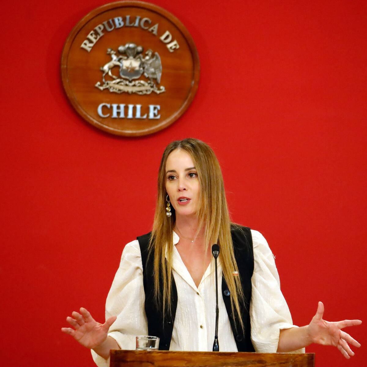 Polémica por recorte a Desarrollo Social: ministra Sedini acusa campaña para “meterle miedo a la ciudadanía”