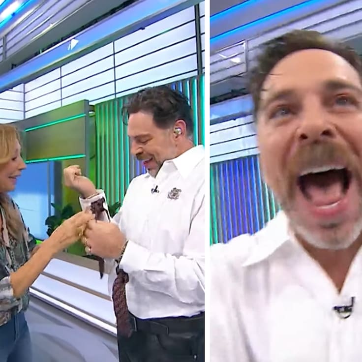 “Por si alguien me dice alguna hue...”: José Antonio Neme lanza feroz palo tras día de furia con otro rostro de TV