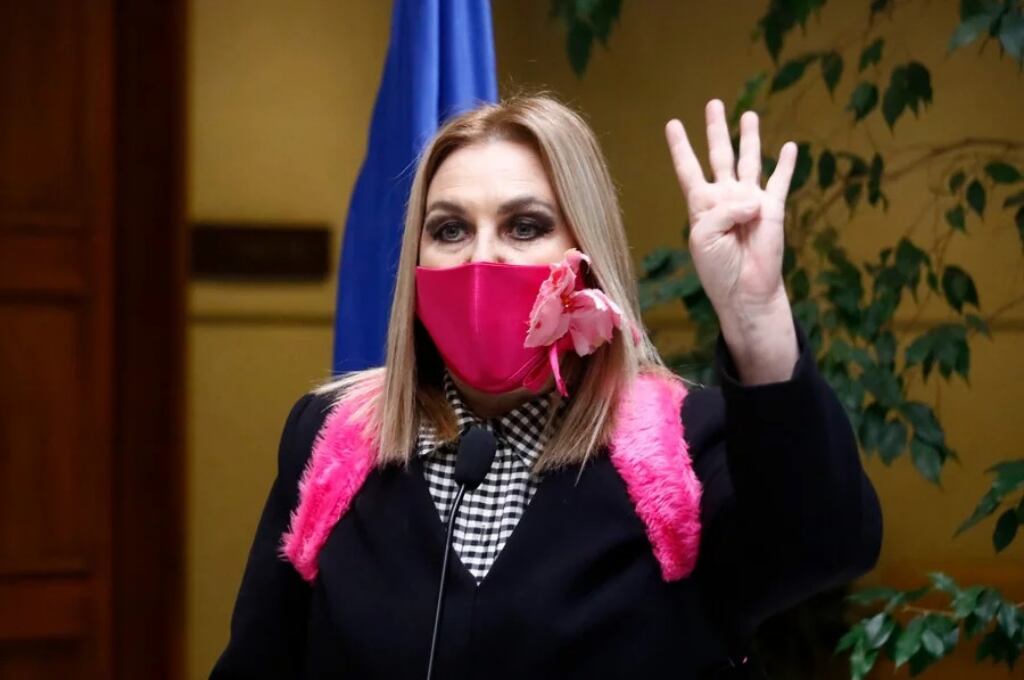 Pamela Jiles - Diputada - Look