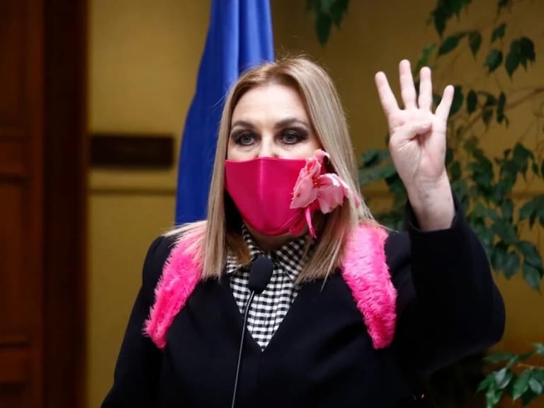 Pamela Jiles - Diputada - Look