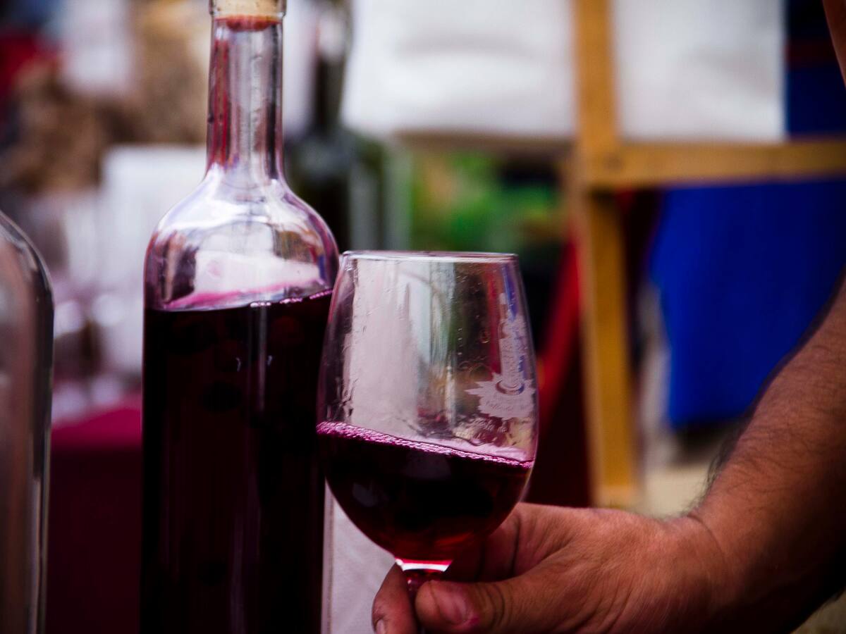 Proyecto busca averiguar la huella genética del vino en Chile