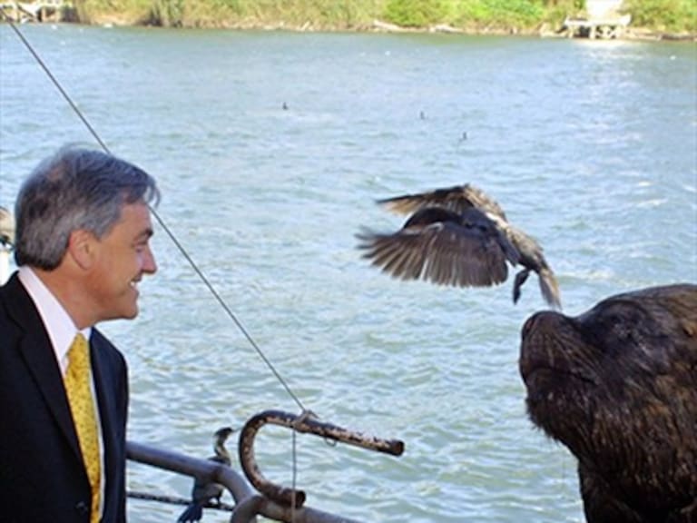 Sebastián Piñera se reencontró con el lobo marino que lo atacó en Valdivia en 2005