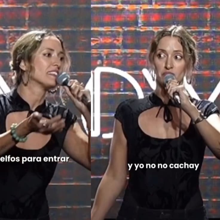 “Hablan un idioma de elfos para entrar a Narnia”: Artista extranjera lanza duro palo a los chilenos y desata reacciones