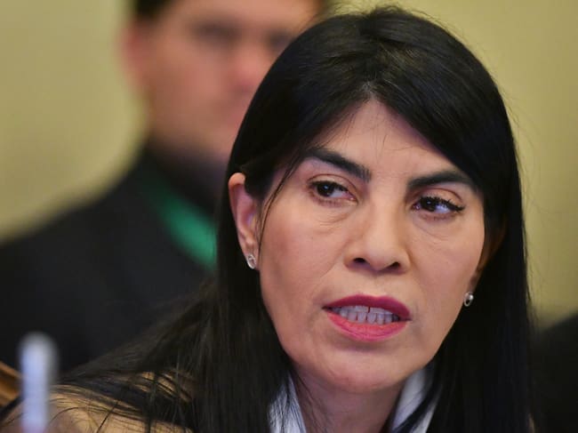 Ximena Lincolao