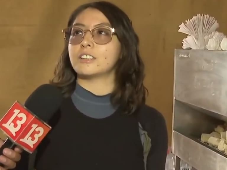 “Se trata de...”: la opinión de una joven tras los incendios y que generó una ola de críticas en redes