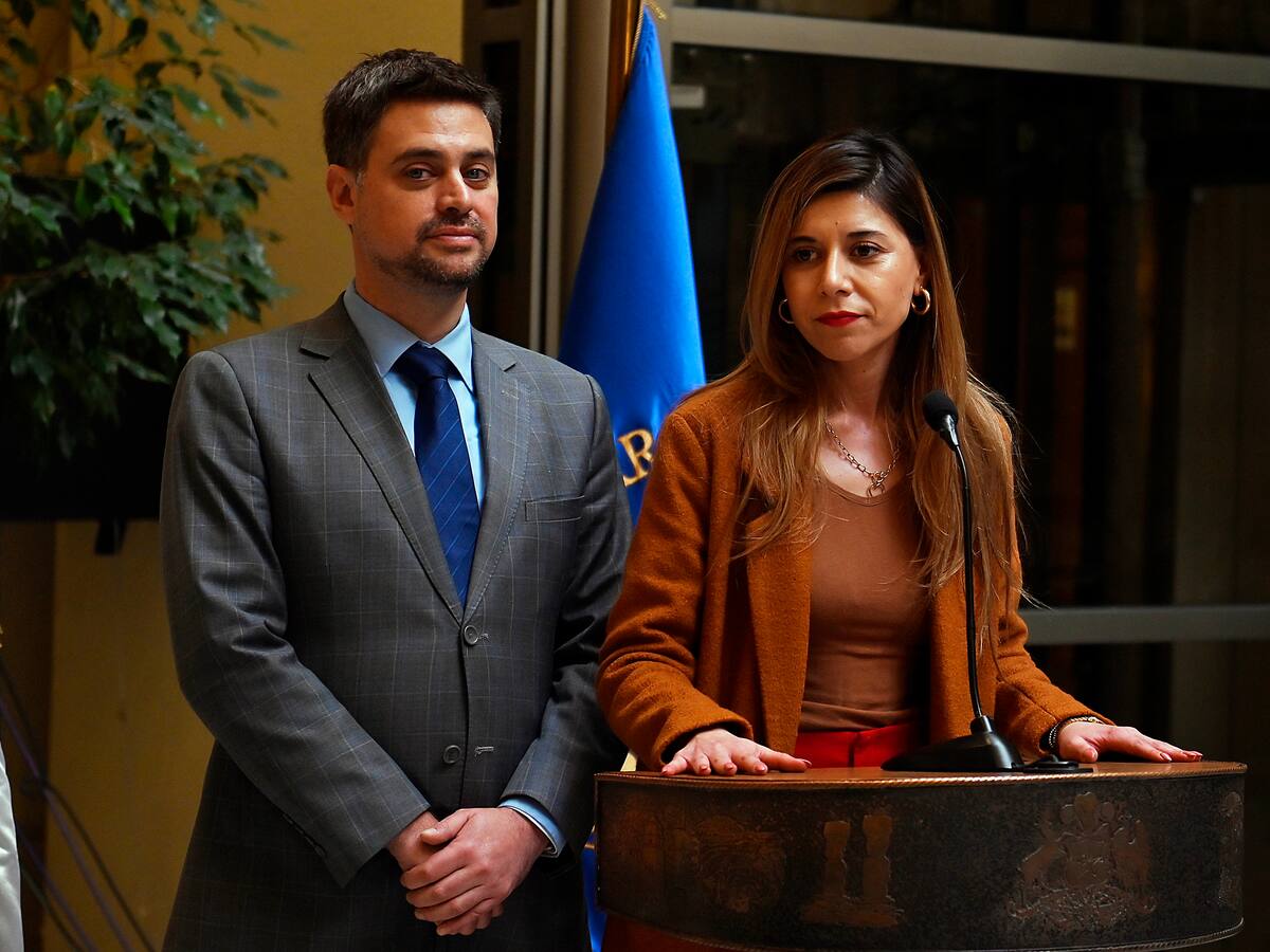 “La situación es de simple verificación en las cartolas”: diputados PS piden aclarar supuestos abonos de Irina Karamanos a Fundación ProCultura