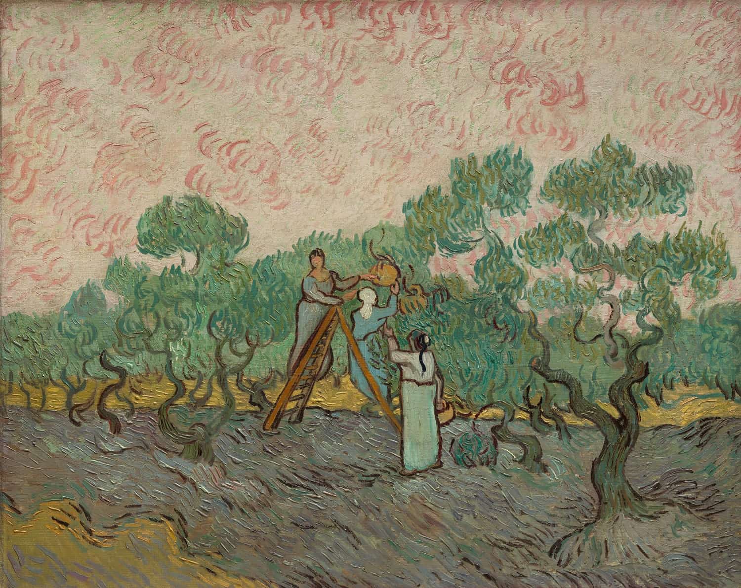 “Mujeres recogiendo aceitunas”, Van Gogh (1889)