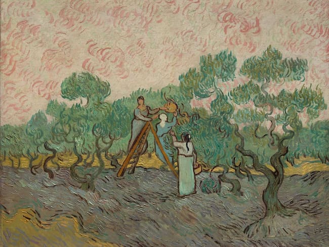“Mujeres recogiendo aceitunas”, Van Gogh (1889)