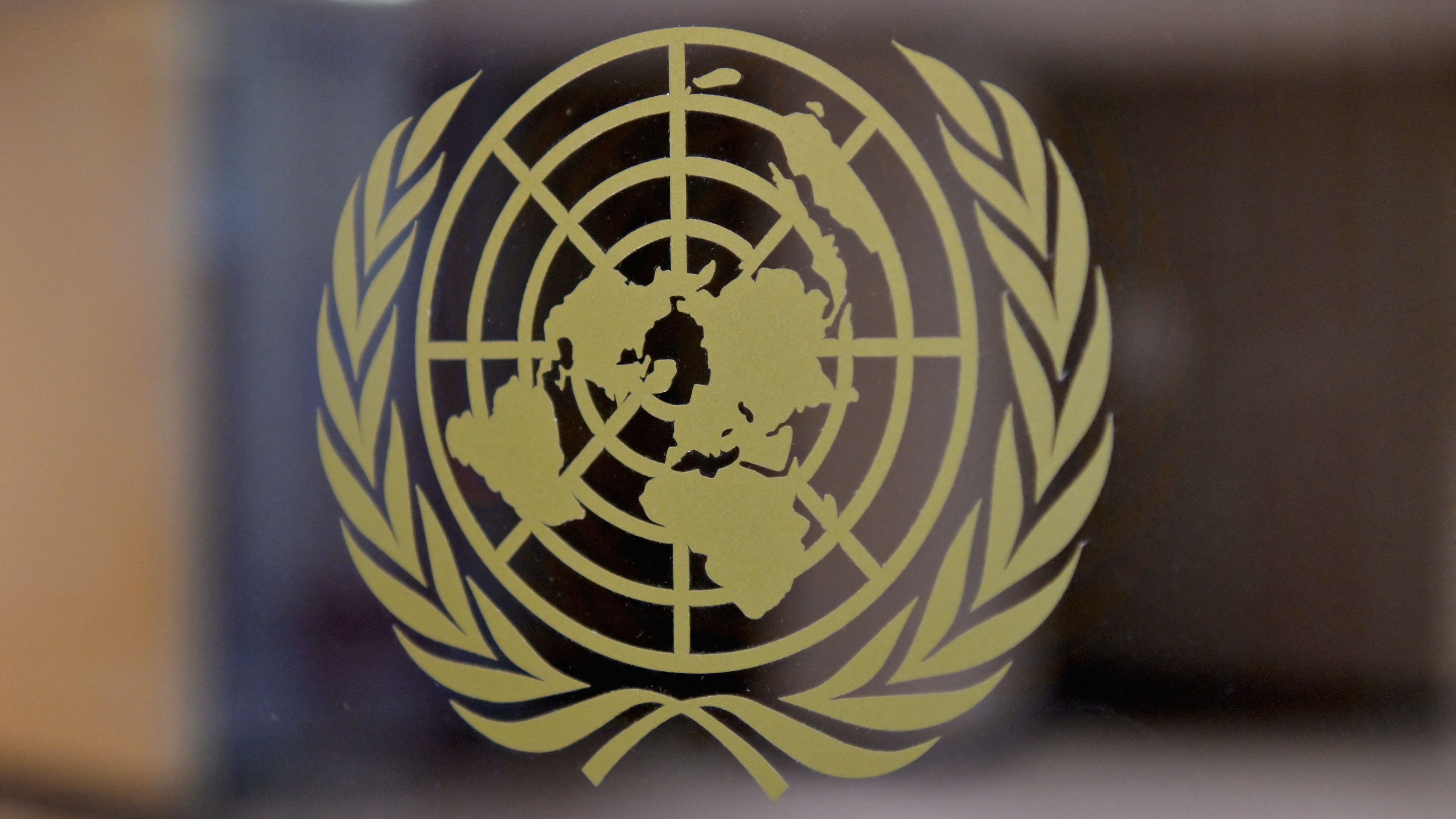 Naciones Unidas