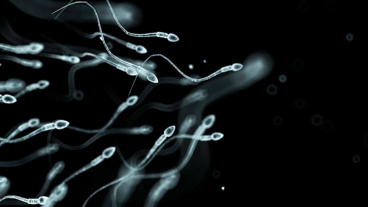 Investigación revela que pasar largos periodos sin eyacular afecta la calidad del esperma