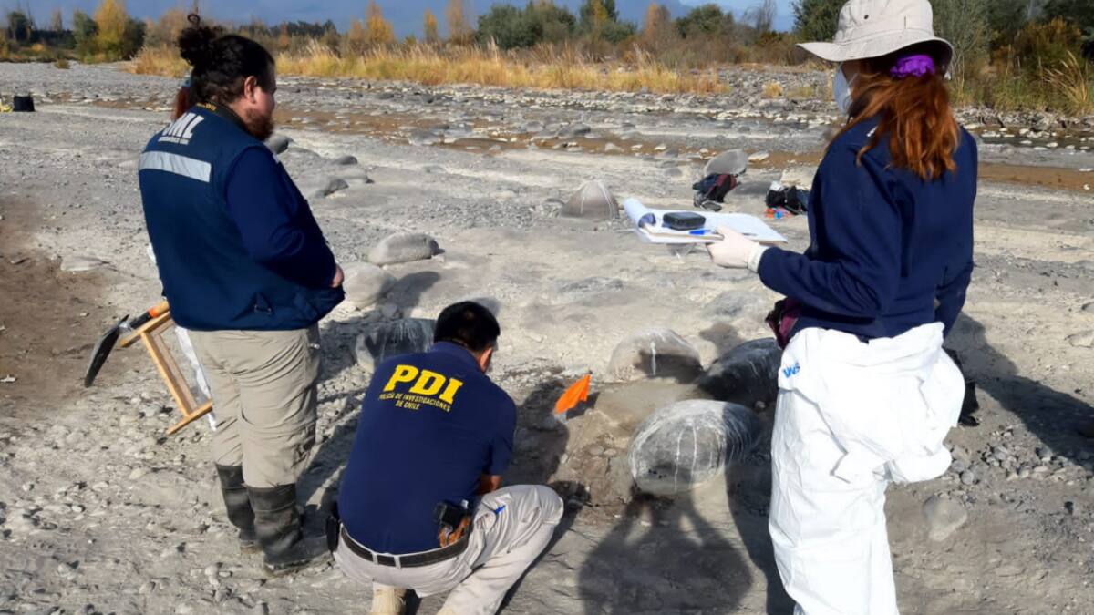 Hallan cadáver con indicios de ejecución en la ribera del río Maipo: Fiscalía ECOH apunta a crimen organizado