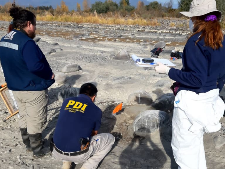 Río tinguiririca, región de O'Higgins, osamentas, PDI