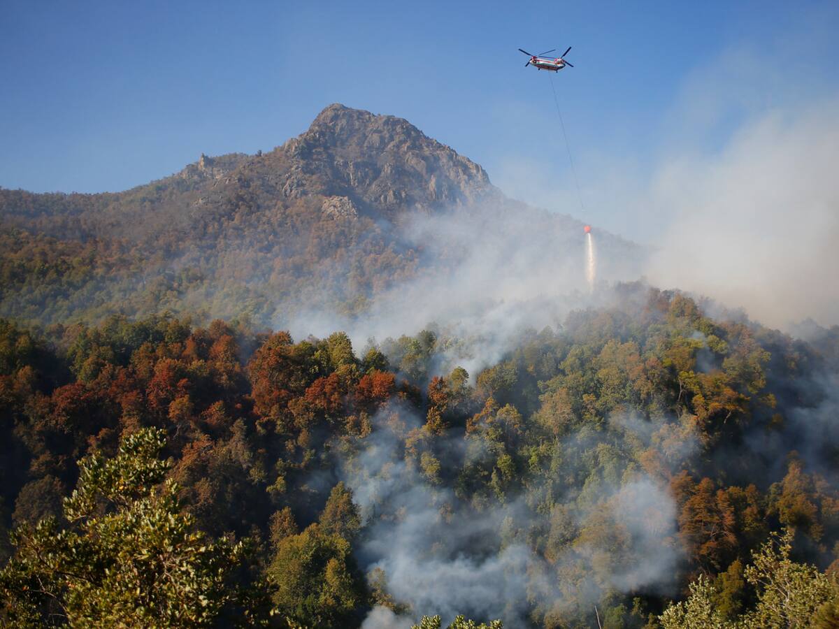 FNE acusó de colusión a tres empresas de helicópteros que combaten incendios forestales