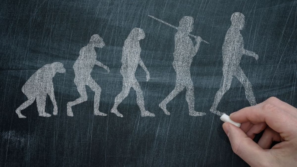 La evolución humana se aceleró: estudio revela cambios biológicos intensos en solo 10 mil años