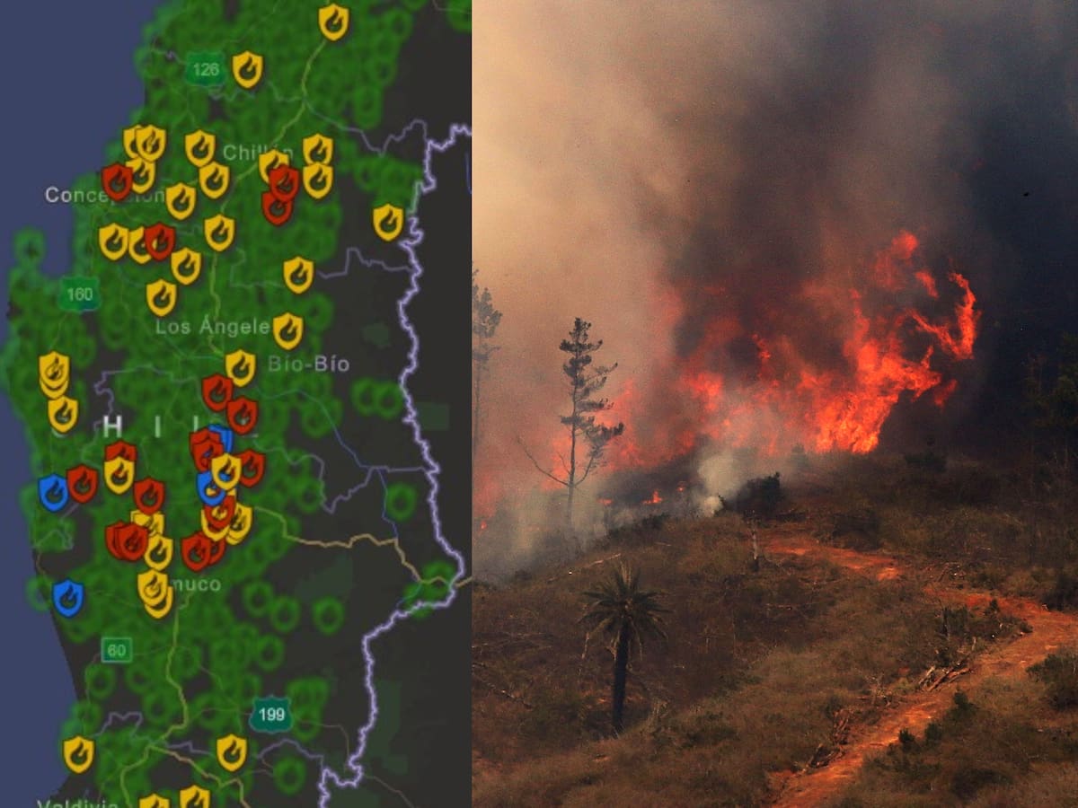 Conaf habilita mapa en tiempo real para seguir incendios forestales en el país