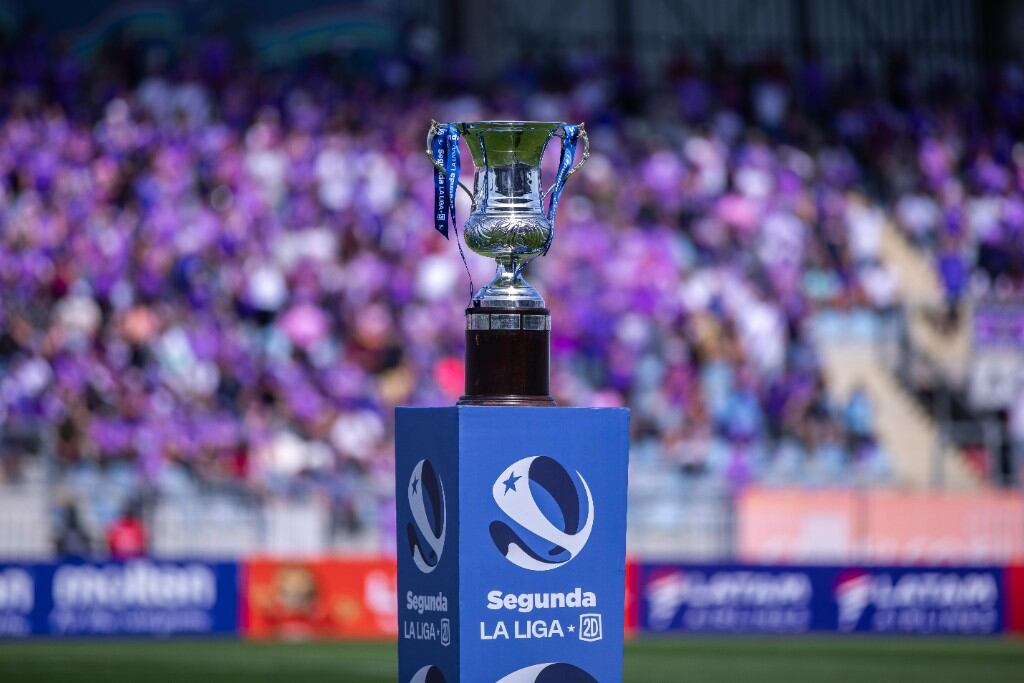 Campeonatochileno.cl