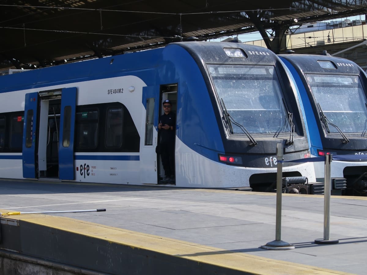 Implicaría una inversión de 4.000 millones de dólares: así sería el tren que cruzaría desde Argentina a Chile