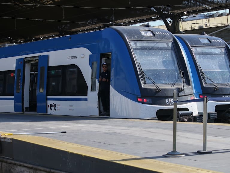 Implicaría una inversión de 4.000 millones de dólares: así sería el tren que cruzaría desde Argentina a Chile