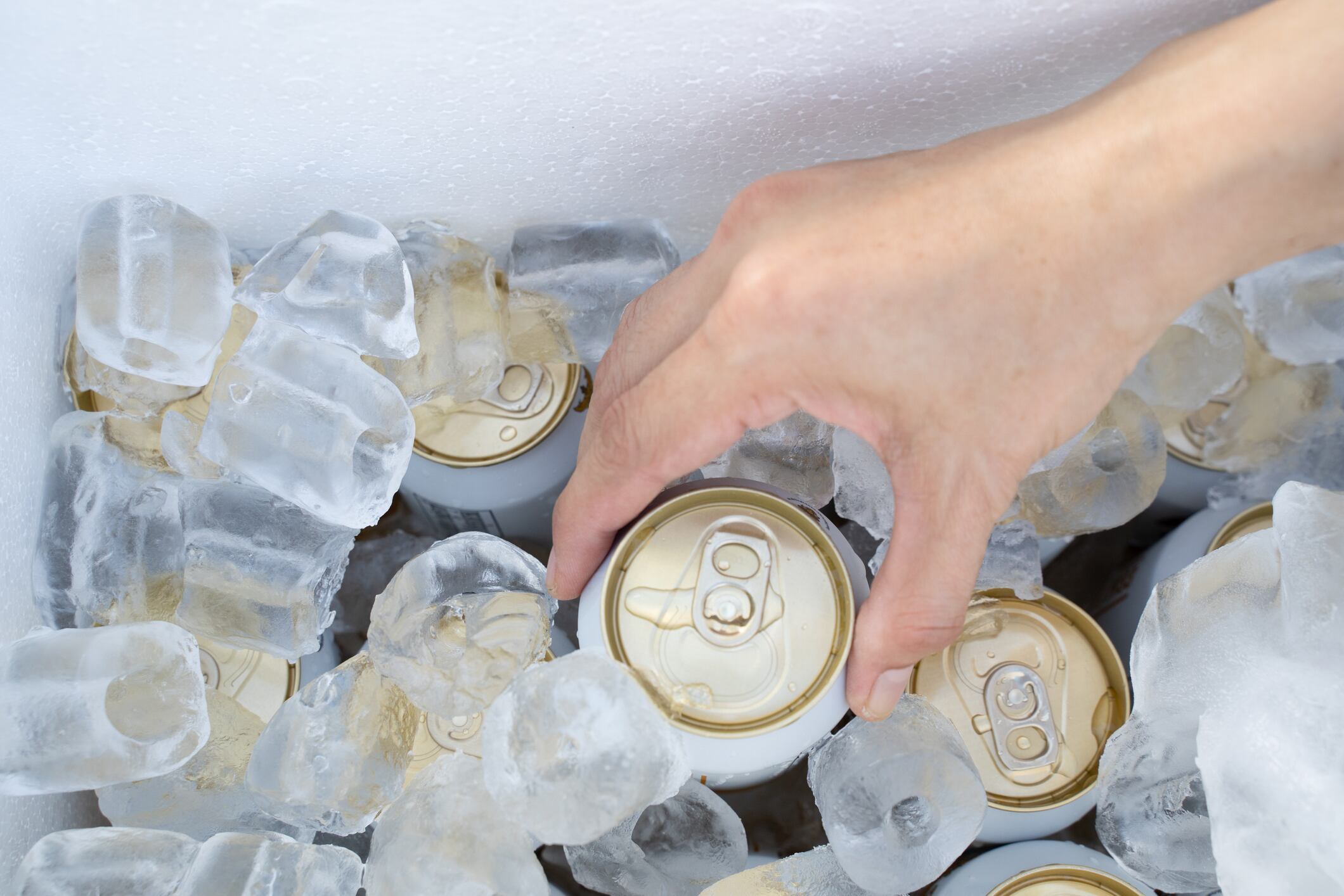 cerveza