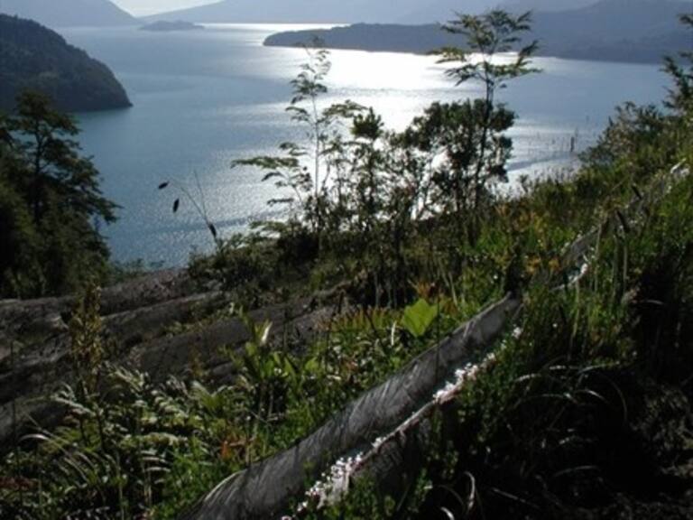 Hombre murió en el lago Todos los Santos tras accidente en kayak
