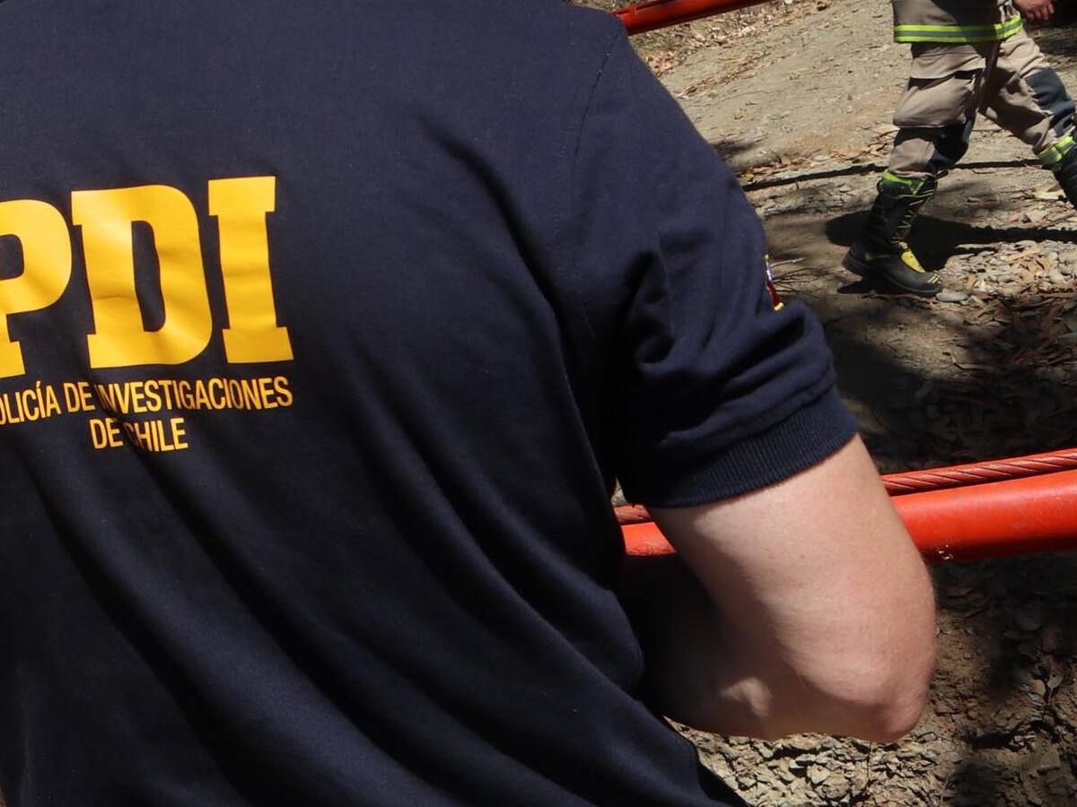 PDI incautó más de 50 plantas de cannabis y hongos alucinógenos en Longaví