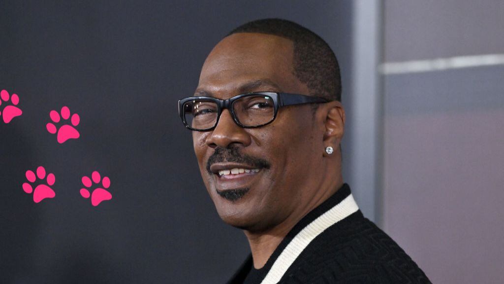 eddie murphy - la pantera rosa - nueva película