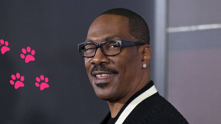 eddie murphy - la pantera rosa - nueva película