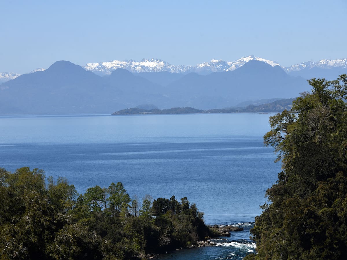 ¿Qué es la asfixia por sumersión? La causa de muerte de Sebastián Piñera en el Lago Ranco