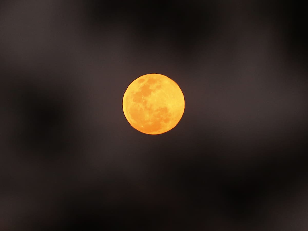 ¿La viste? Revisa las imágenes que dejó la Superluna de sangre