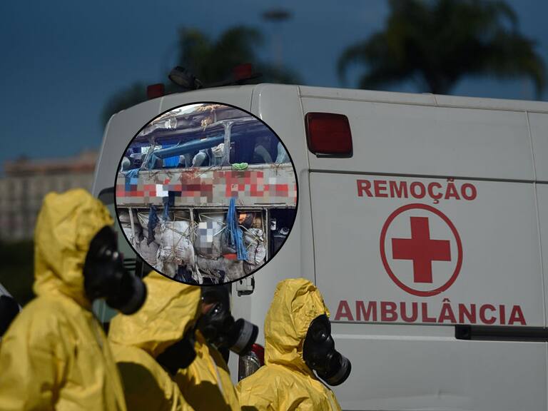 Tragedia en Brasil: al menos 15 muertos deja accidente en bus