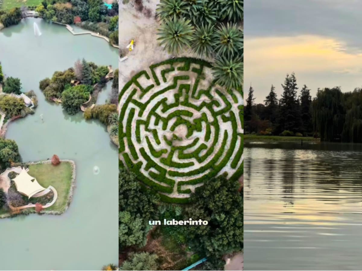 “Un verdadero oasis dentro de la ciudad”: el parque de Santiago gratuito que tiene una laguna artificial en su interior