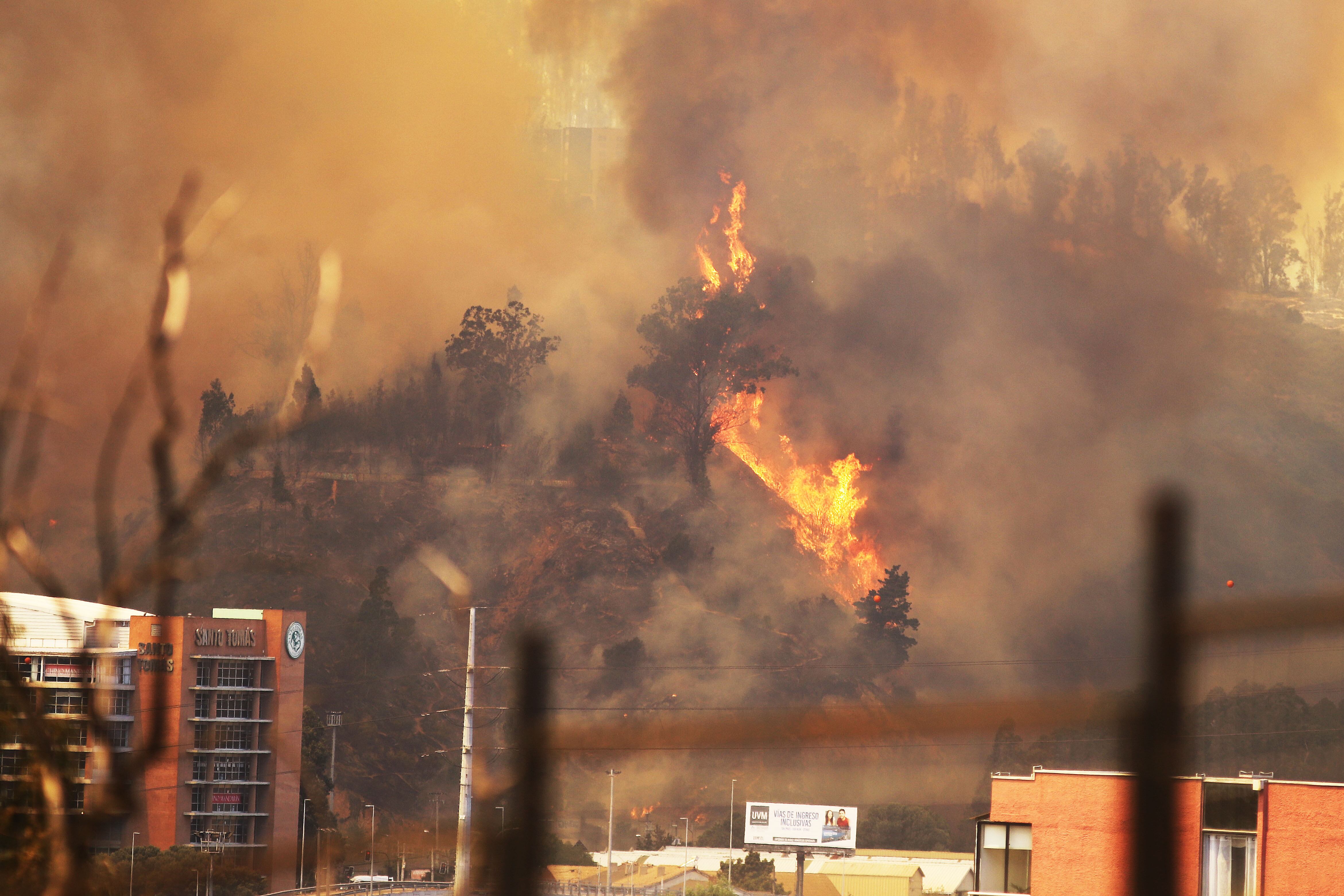 03 DE FEBRERO DE 2024/VIA DEL MAR
Cientos de personas evacuaron a adultos mayores, sus animales y pertenecias, luego de que el fuego amenazara el sector de Miraflores Bajo
FOTO: MANUEL LEMA OLGUIN/AGENCIAUNO