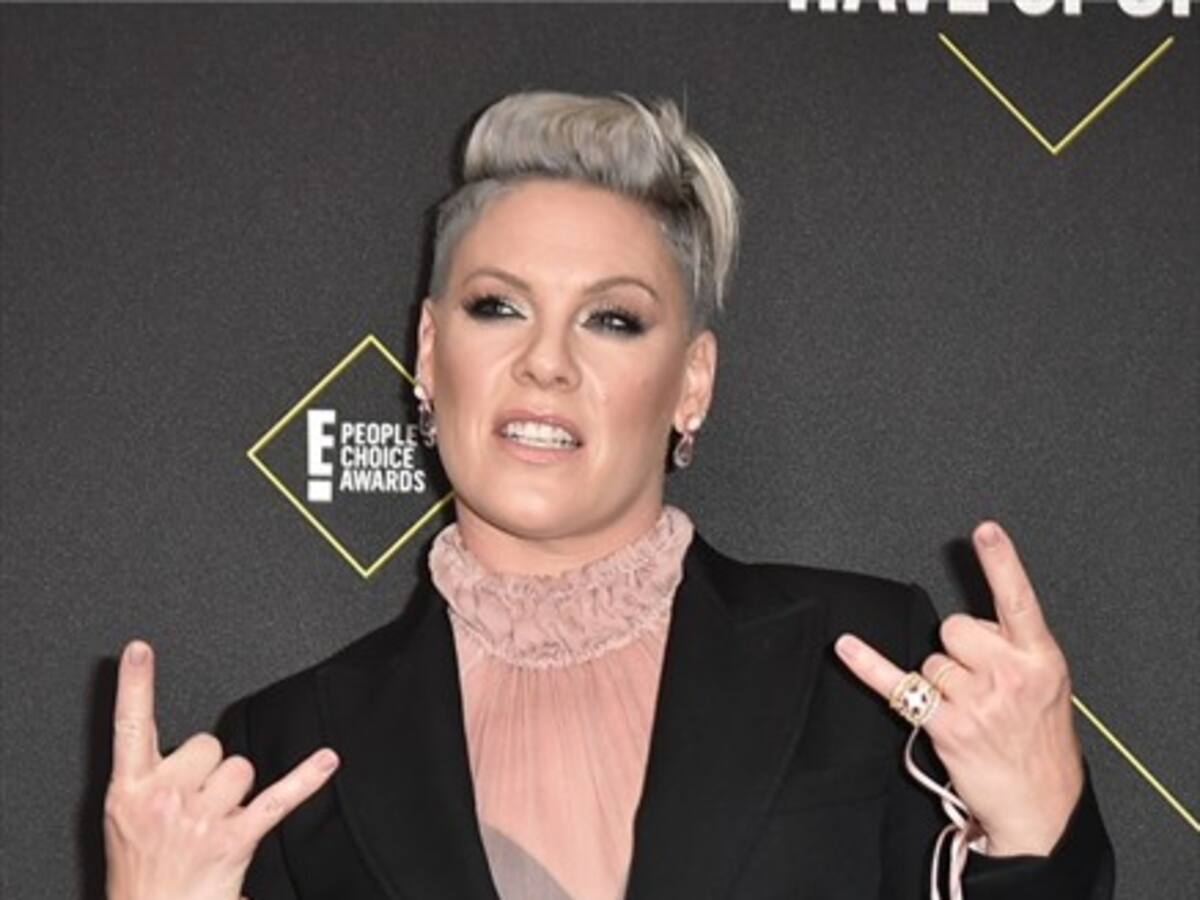 P!nk donó $500.000 dólares a los bomberos australianos