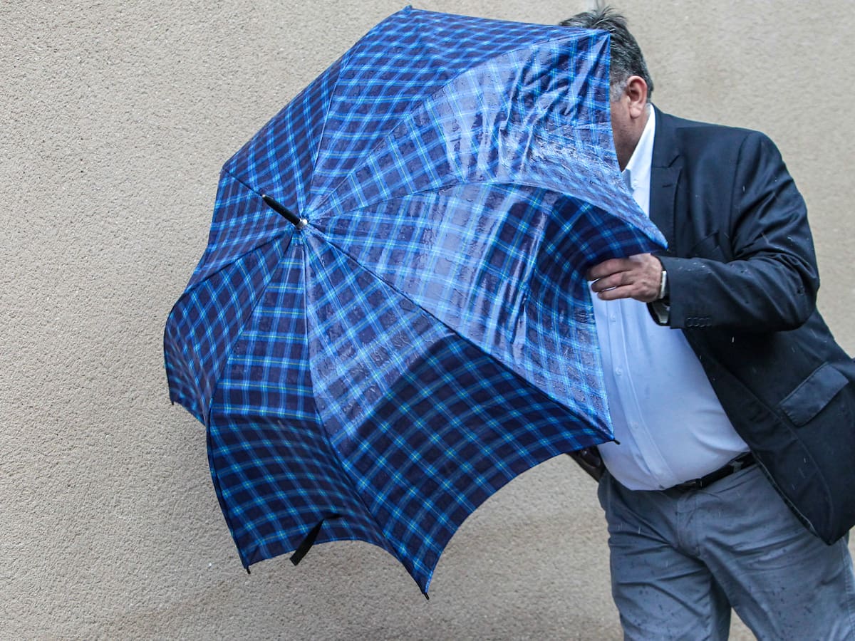 Alerta Amarilla por intensas lluvias en La Araucanía y Los Ríos: advierten por riesgo de aluviones y derrumbes
