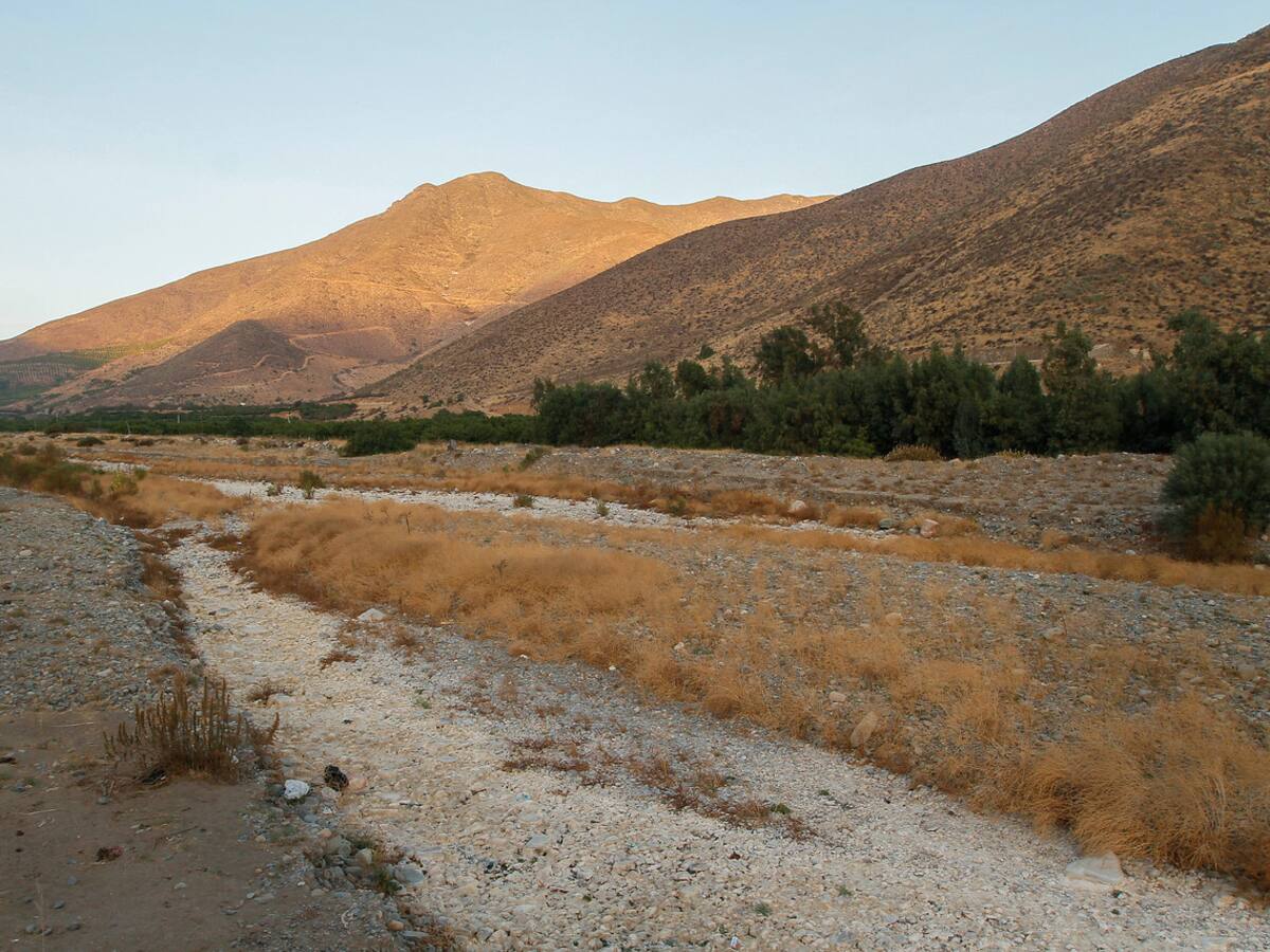 Rodrigo Mundaca: Imposible cumplir con normas de higiene cuando entregan 50 litros de agua por persona
