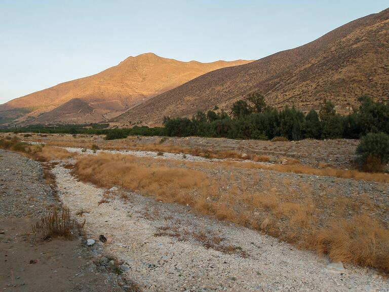 Rodrigo Mundaca: Imposible cumplir con normas de higiene cuando entregan 50 litros de agua por persona