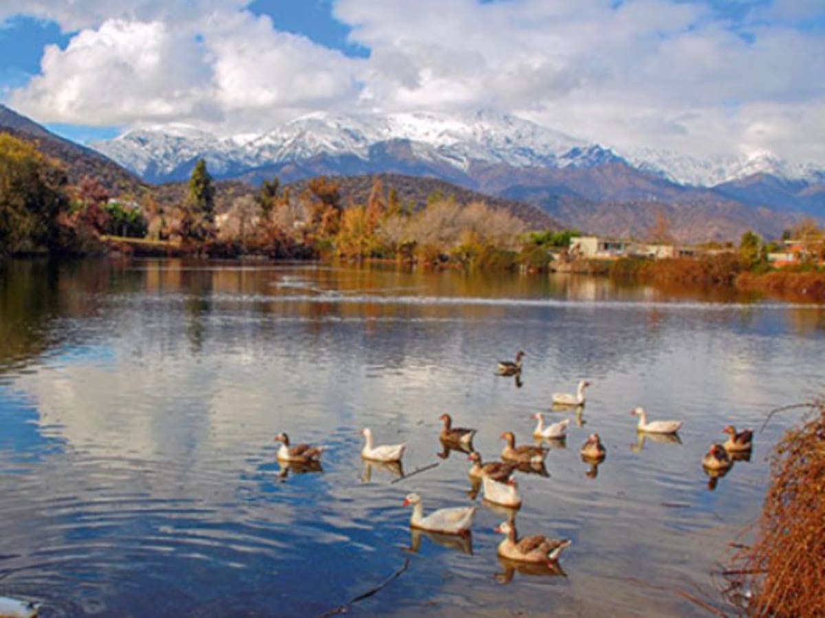 Science publica carta de alerta de científicos nacionales: “La política ambiental de Chile se encuentra en riesgo”