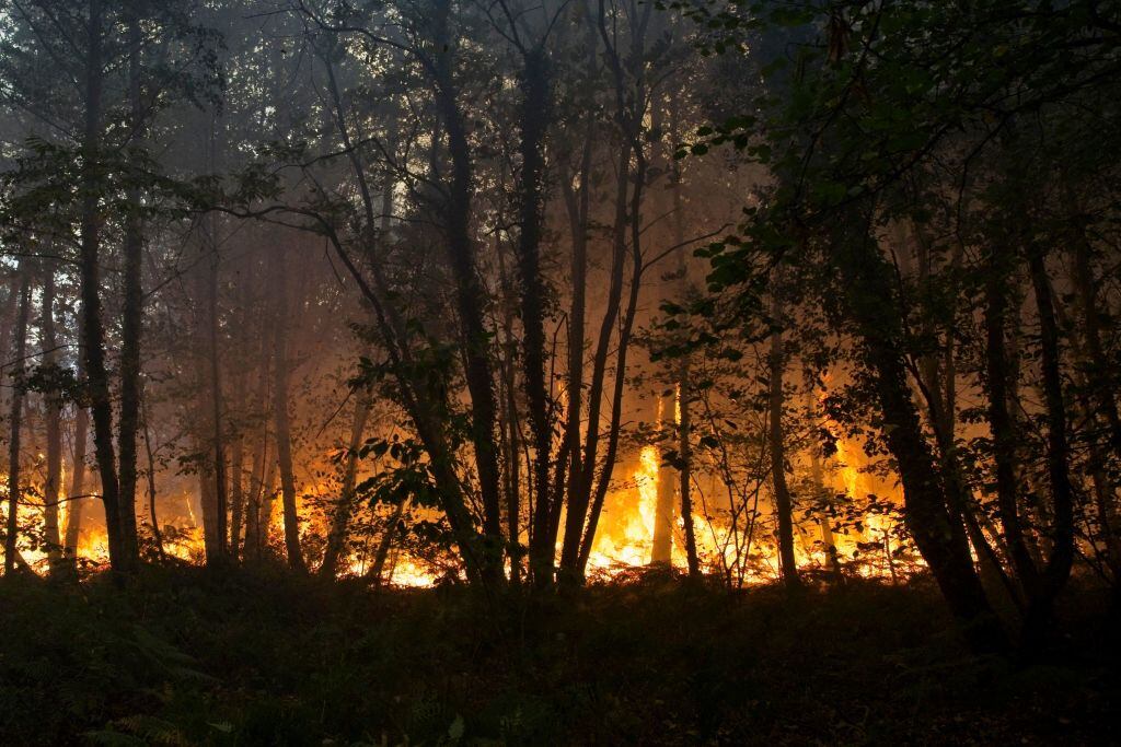 Bosque se incendia por el calor en pleno verano en Clefs-Val-D’Anjo de Francia