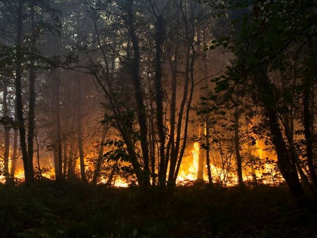 Bosque se incendia por el calor en pleno verano en Clefs-Val-D’Anjo de Francia