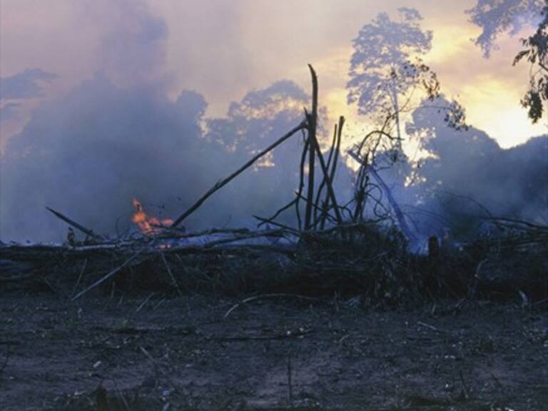 Gobierno de Chile ofreció ayuda a Brasil para combatir incendios en el Amazonas