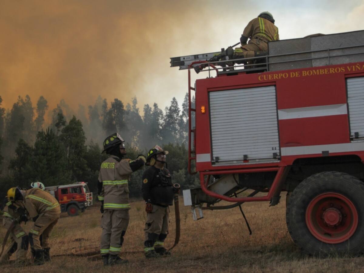 Presidente de Bomberos de Coquimbo desmiente agresiones y amenazas por parte de comuneros en Ercilla