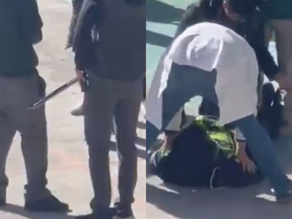capturas