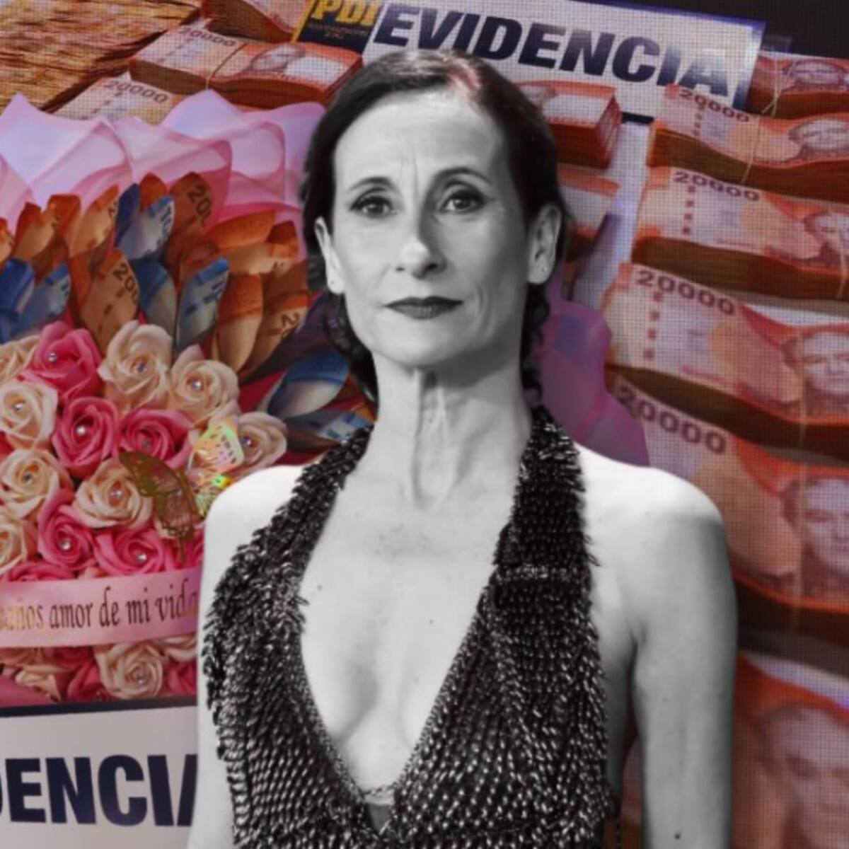 “Secuestro psicológico”: subprefecto de la PDI detalla modus operandi de banda que estafó a Amparo Noguera